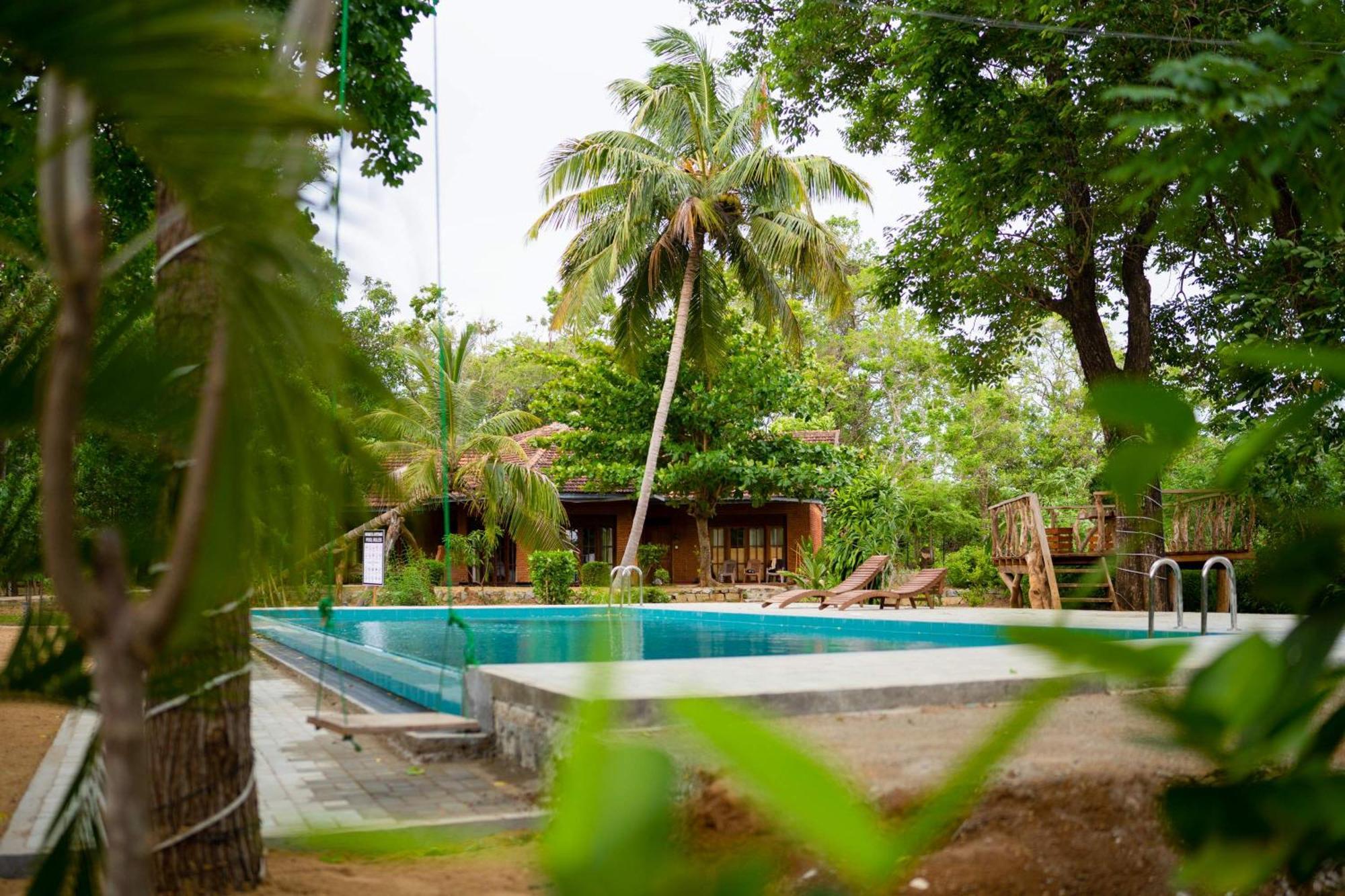 Sigiriya Cottage Bagian luar foto