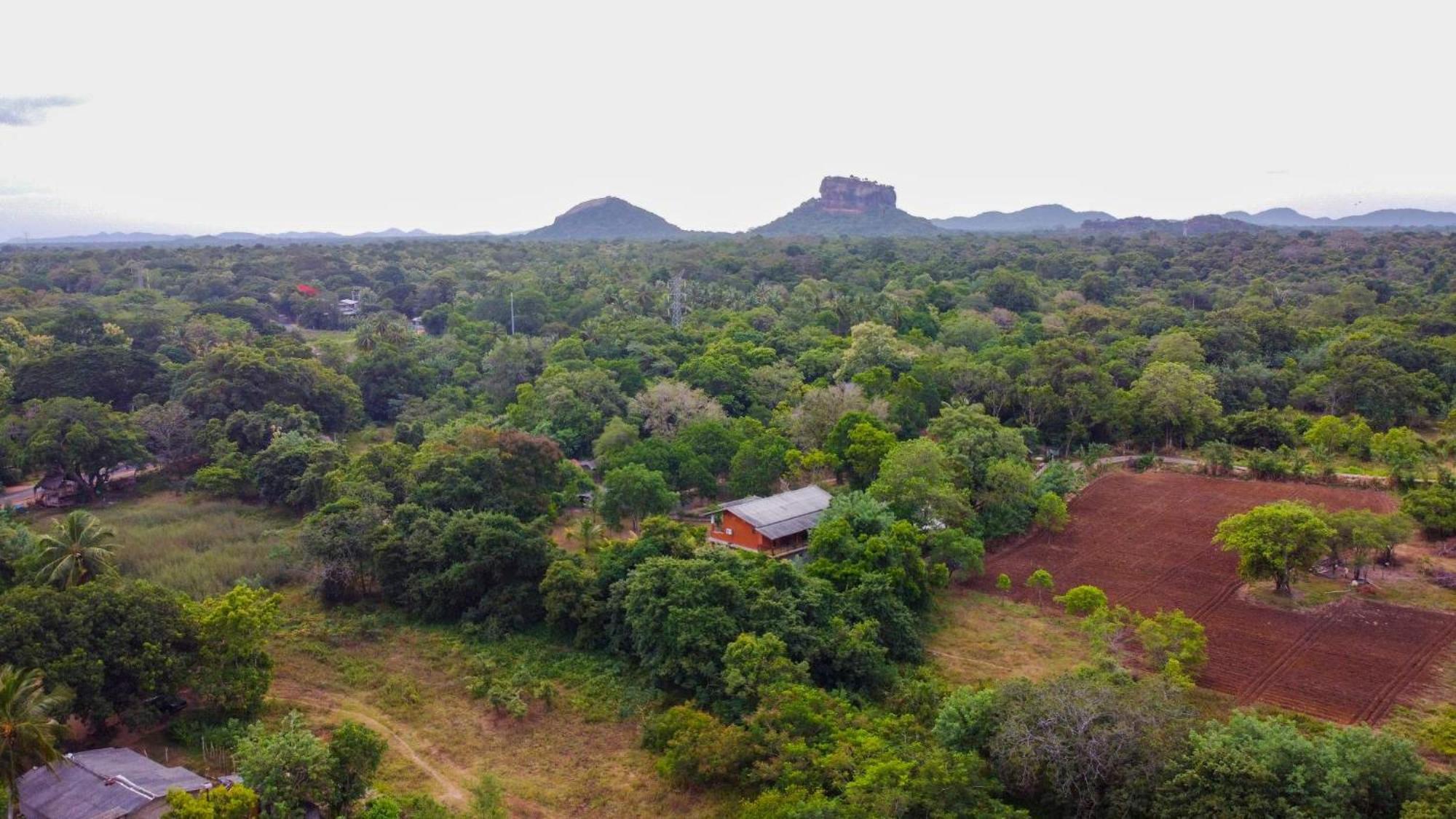Sigiriya Cottage Bagian luar foto